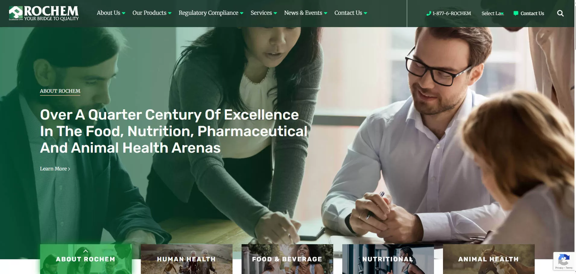 Rochem International Inc.